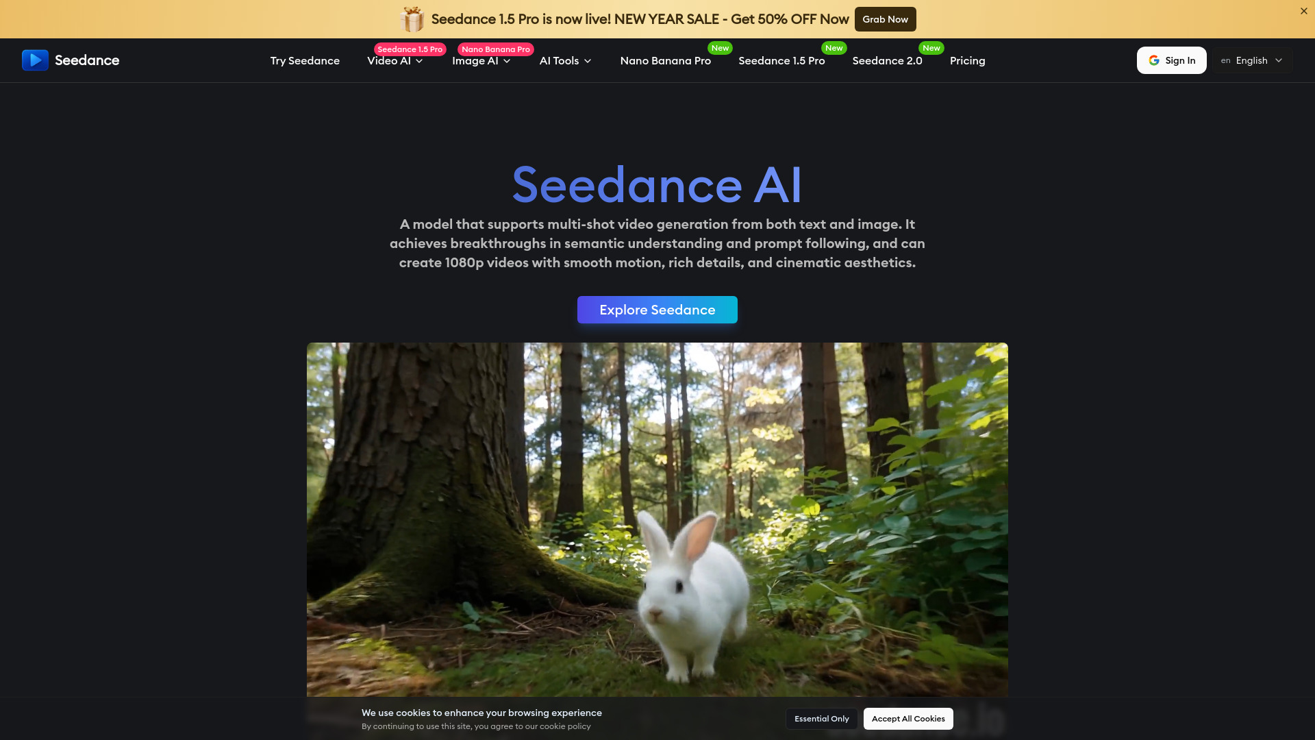 Seedance screenshot