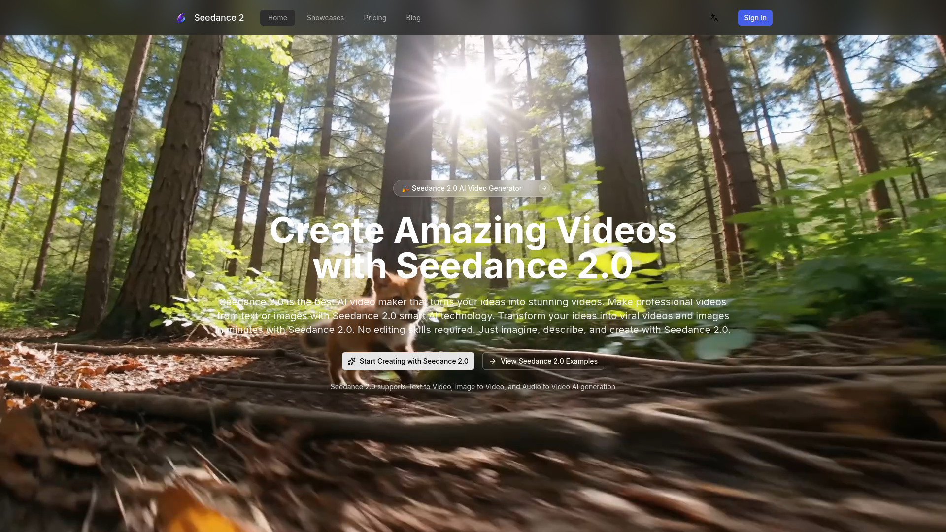 Seedance 2.0 screenshot