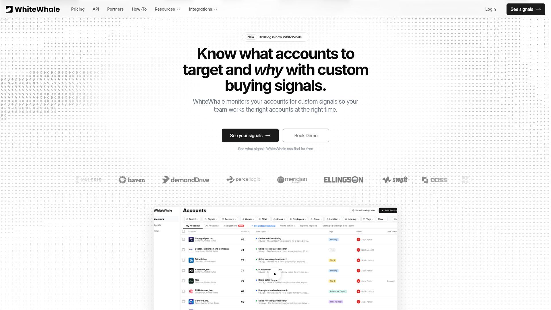 WhiteWhale screenshot