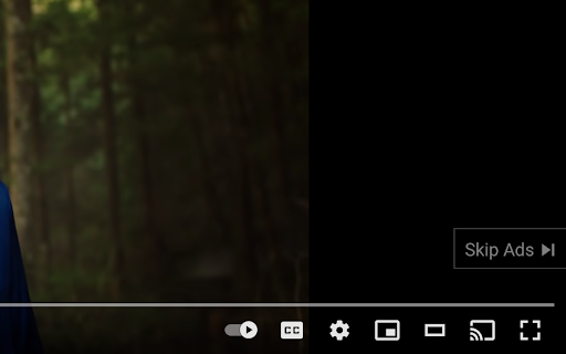 YouTube Ad Skipper screenshot