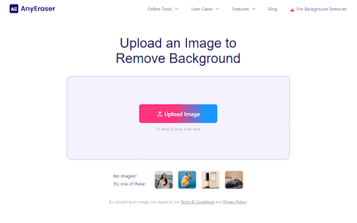 AnyEraser screenshot
