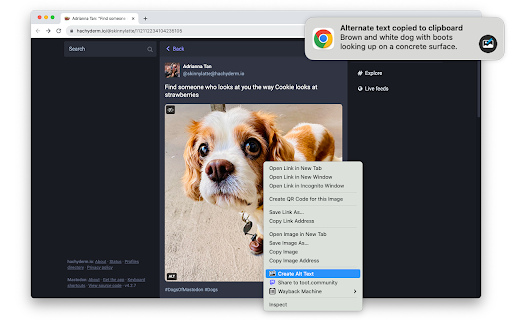 Alt Text Creator screenshot