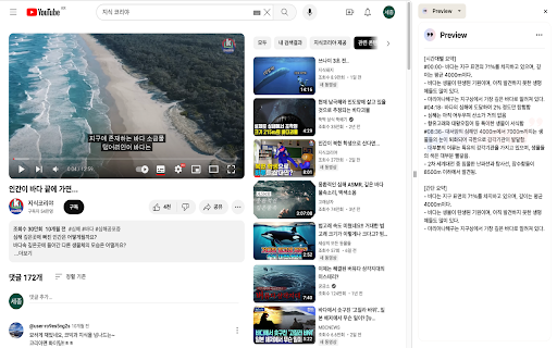 Youtube Summary with ChatGPT screenshot