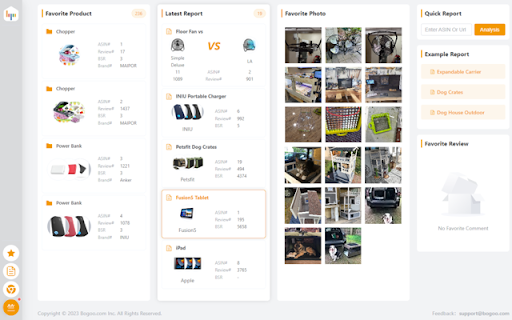 Buyer Reviews Analysis Tool screenshot