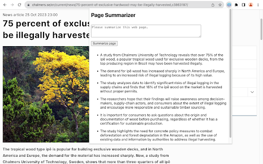 Page Summarizer screenshot