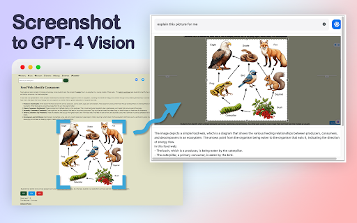 GPT-4 Vision Screenshot screenshot