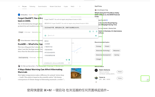 ChatGPT for all sites screenshot