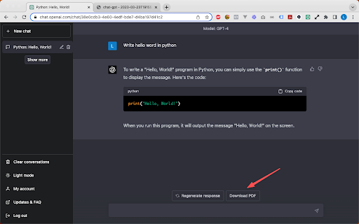 Chat-GPT PDF screenshot