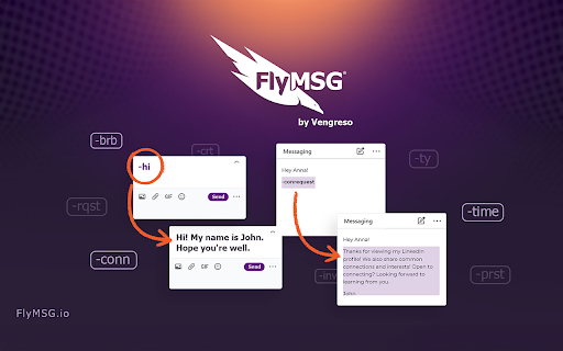 FlyMSG screenshot