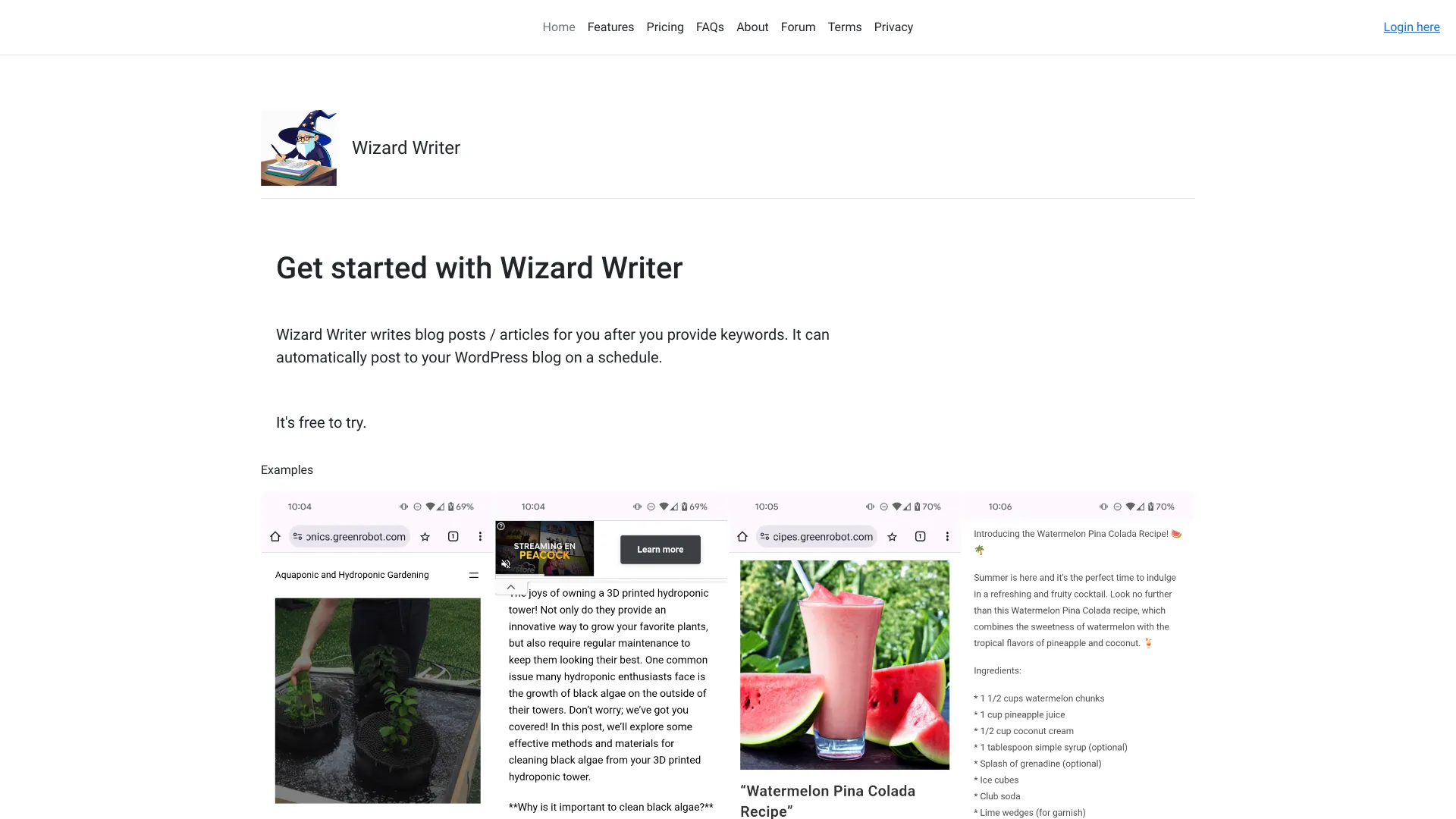 Wizard Writer screenshot