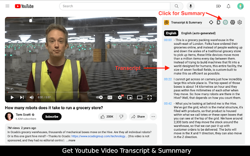 YouTube Summary screenshot