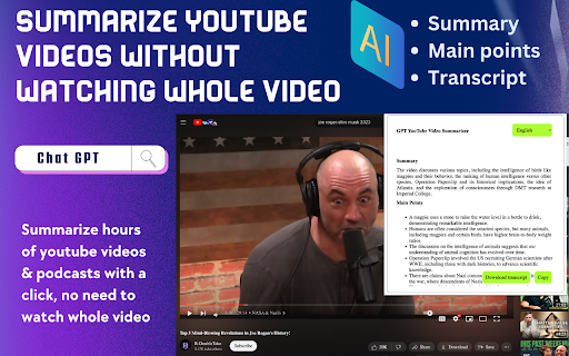 YouTube Summarizer screenshot