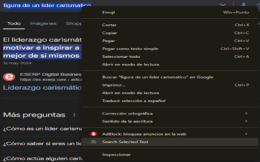 Text Selection Extension screenshot