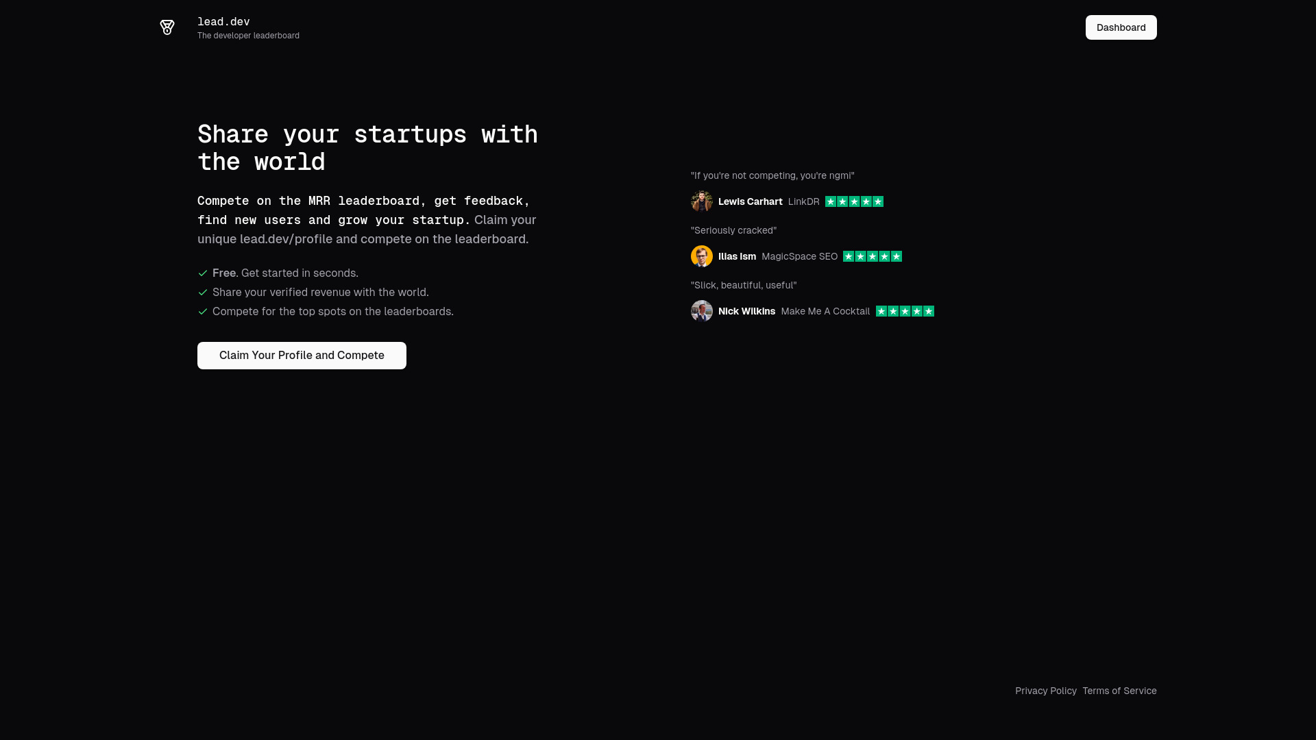 lead.dev screenshot