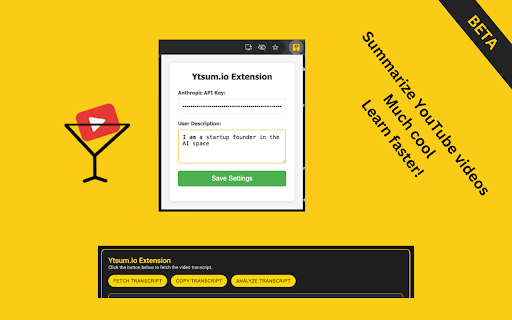 YTSum screenshot