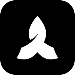 Palix AI