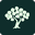 Honen
