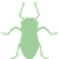 Aphid