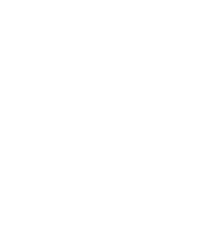SmartBird
