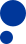 Generated Assets